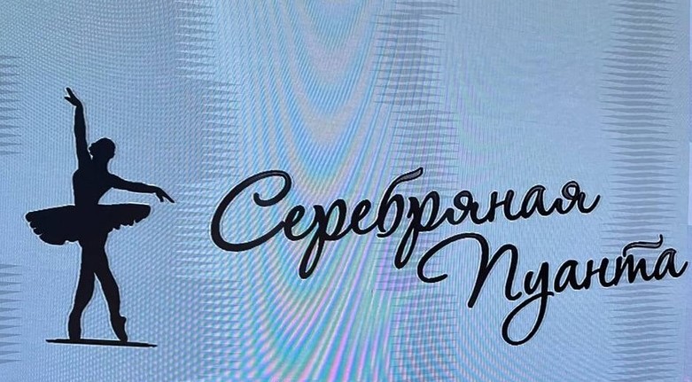 Серебряная пуанта